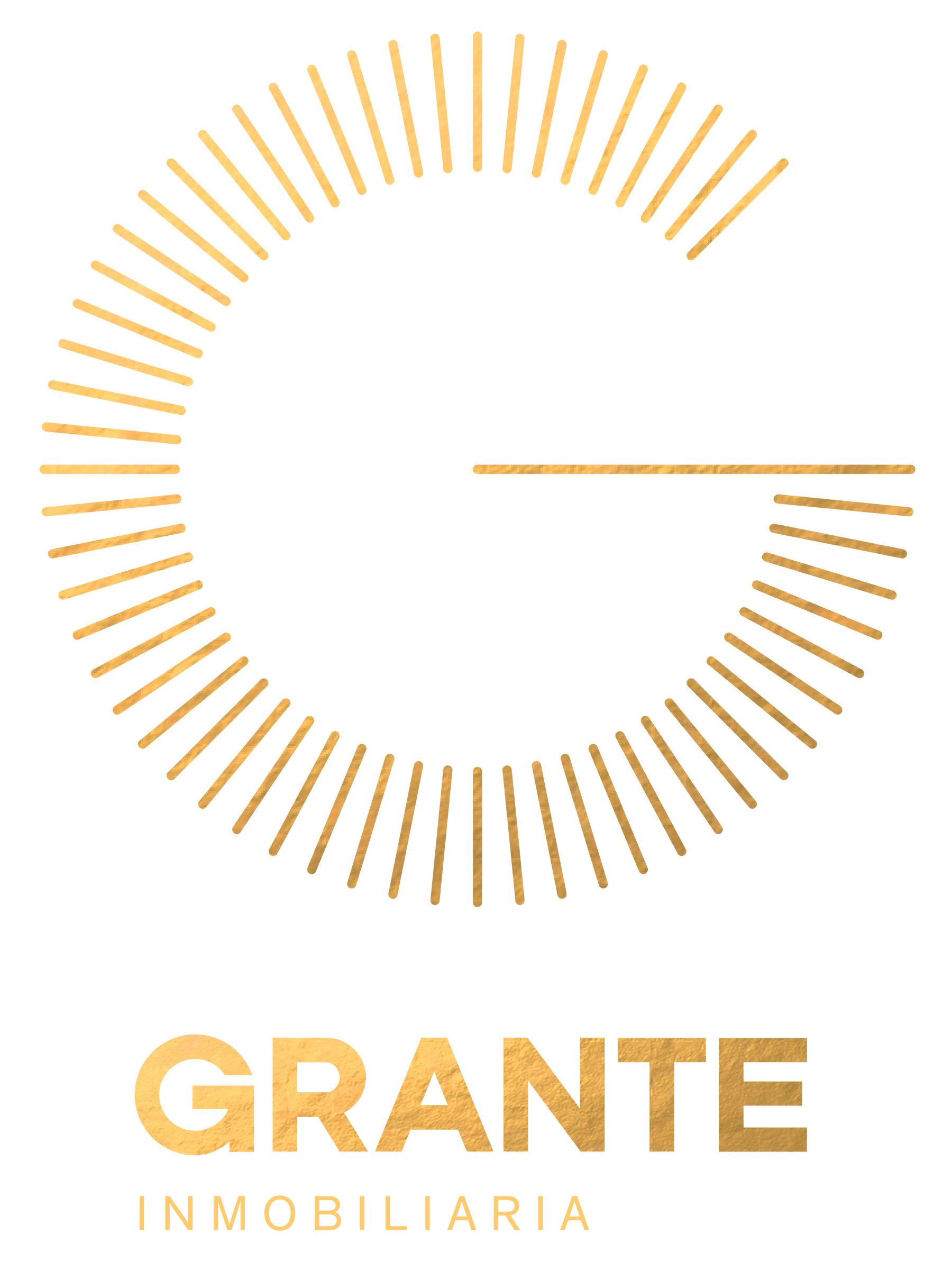Nietzsche Logo